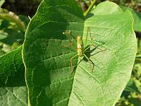 04-08-2006_18-20-14_95