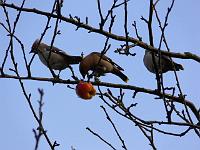 12-01-2006_09-53-18_85