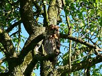 2008-05-15_07-16-55_0004