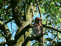 2008-05-15_07-16-55_0007