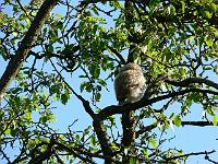 2008-05-15_07-16-55_0014