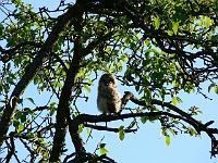 2008-05-15_07-16-55_0031