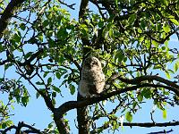 2008-05-15_07-16-55_0032