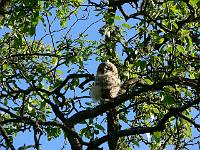 2008-05-15_07-16-55_0047