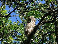 2008-05-15_07-16-55_0059