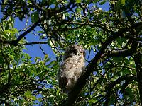 2008-05-15_07-16-55_0063