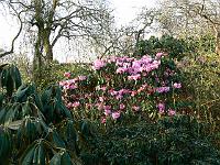 01-04-2007_09-03-49_11