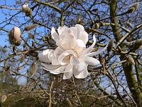 01-04-2007_17-07-13_10