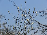 01-04-2007_17-09-49_50