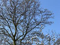 02-04-2007_09-48-20_11