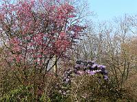 02-04-2007_09-48-47_18