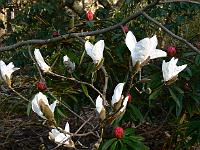 02-04-2007_09-49-13_25