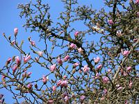 02-04-2007_09-51-45_63