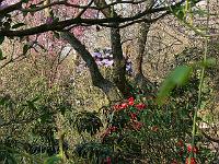 02-04-2007_09-52-37_77