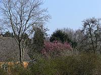 02-04-2007_16-53-56_01