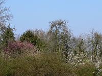 02-04-2007_16-55-28_23