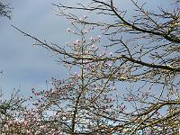 03-04-2007_08-45-16_02