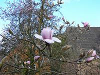 03-04-2007_08-47-23_35