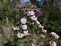 05-04-2007_13-02-24_15