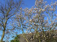 06-04-2007_08-57-40_10