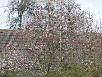 07-04-2007_17-51-42_14