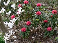 07-04-2007_18-21-00_10