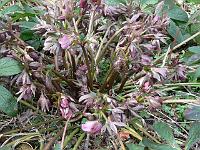 08-04-2006_15-50-58_36