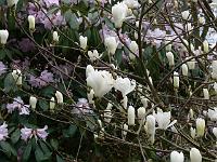 08-04-2007_09-30-40_21