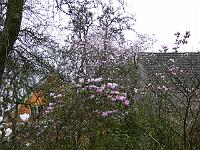 08-04-2007_09-32-25_48