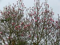 08-04-2007_19-09-51_03