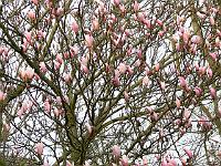 08-04-2007_19-10-08_07