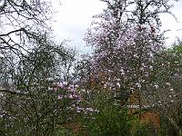 09-04-2007_16-20-24_03