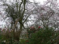 11-04-2007_09-01-49_27