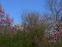 11-04-2007_15-40-58_16