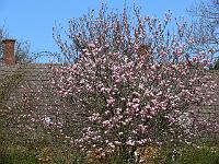 11-04-2007_15-45-17_84