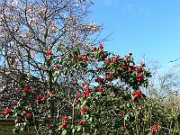 11-04-2007_15-49-59_156