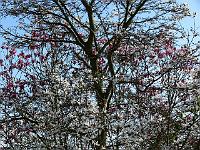 12-04-2007_20-23-08_04