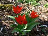 12-04-2007_20-25-12_39