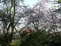 12-04-2007_20-26-56_67