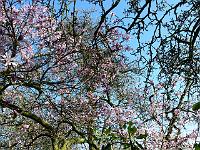 12-04-2007_20-27-58_83