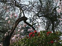 13-04-2007_08-53-40_07