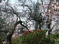 13-04-2007_08-53-47_09