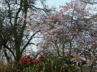 13-04-2007_08-55-35_37