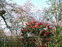 13-04-2007_08-57-54_74