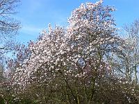 13-04-2007_09-02-50_150