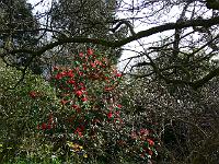 13-04-2007_10-00-28_26