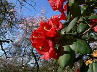 13-04-2007_10-03-00_67