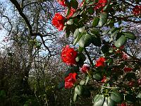 13-04-2007_10-03-24_73