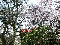 13-04-2007_15-36-18_33