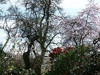 13-04-2007_15-37-02_44